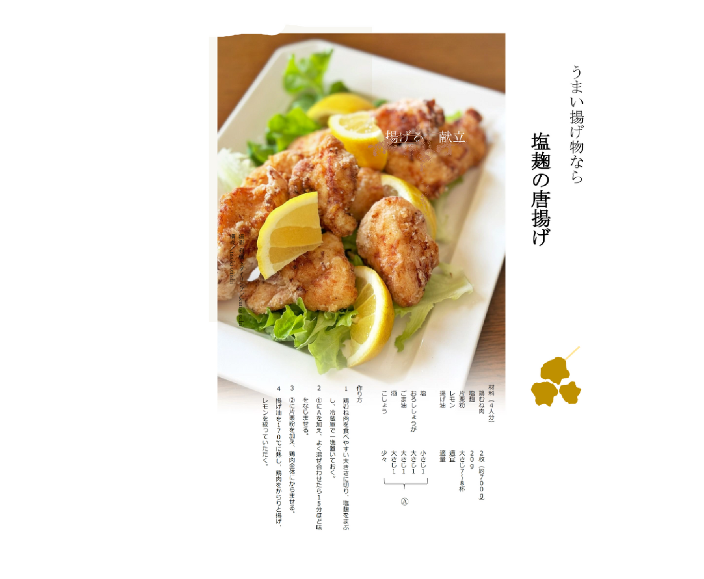 Shio koji powder 塩麹30g